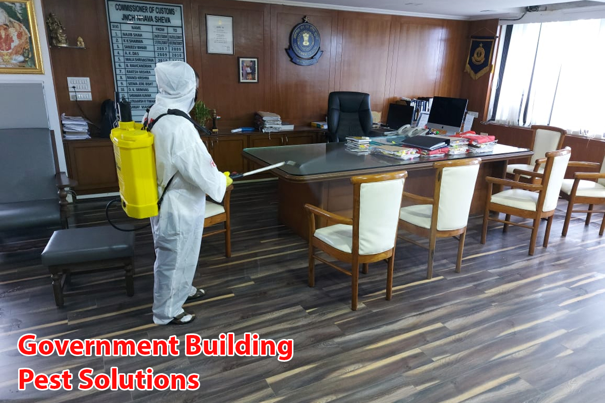 Government Building Pest Solutions