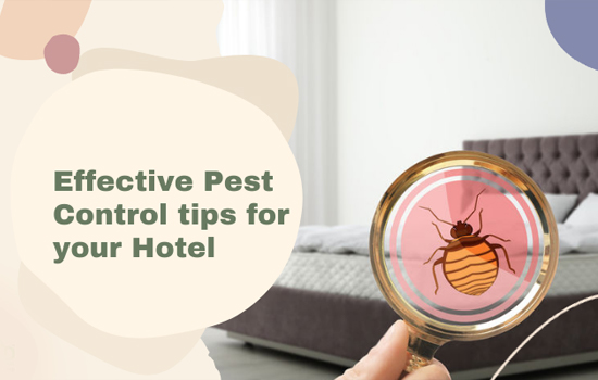 Eco-friendly Pest Control