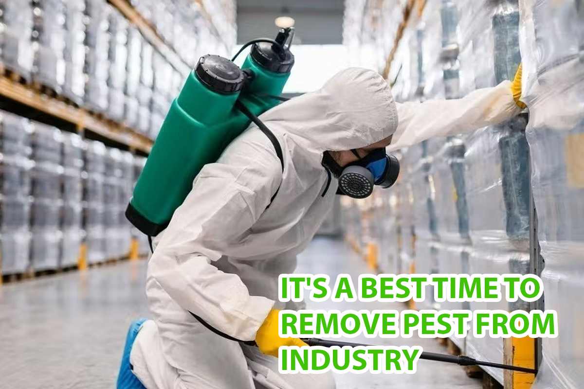 Industrial Pest Control