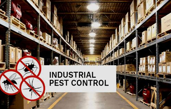 Rodent Control in Industrial Facility
