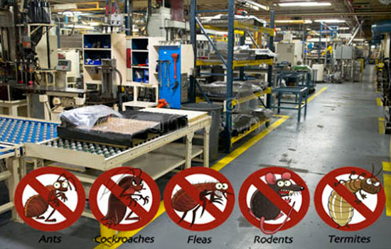 Factory Pest Management
