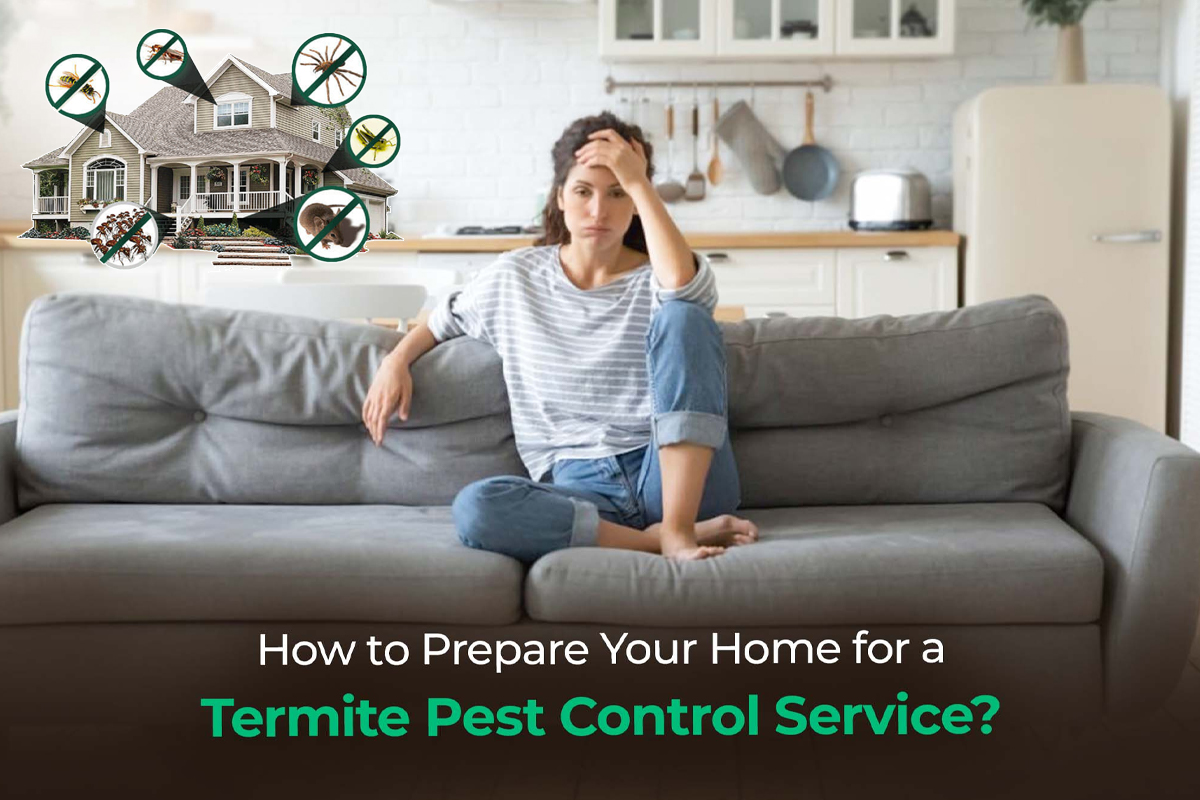 Home pest control treatment in Gaya ,Patna & all over bihar.