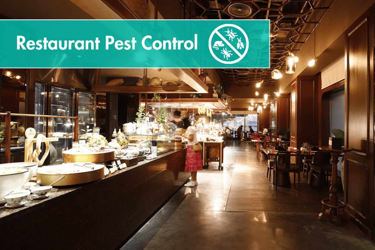 Food Facility Pest Control